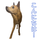 837274773