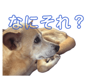 837274775
