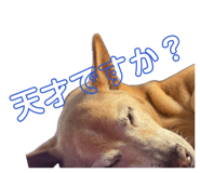 837274777