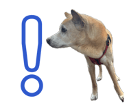 837274782