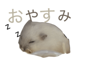 837275530