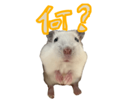 837275531