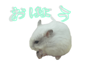 837275532