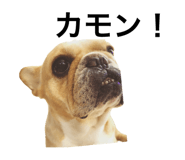 837275943
