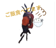 837278338