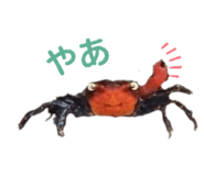 837278339