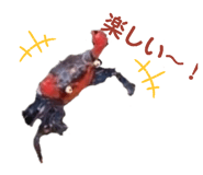 837278342