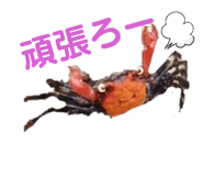 837278343