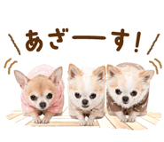 837279387