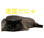 837280787