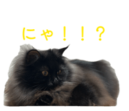 837280788