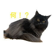 837280792