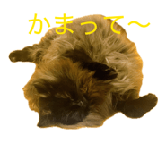 837280795