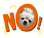 837284927