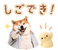 837301565