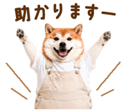 837301567