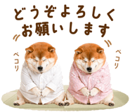 837301569