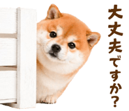 837301577