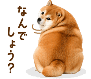 837301581
