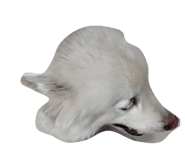 837305018