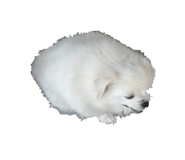 837305020