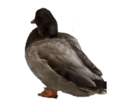 837305022