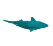837305028