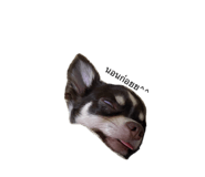 837308618