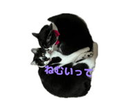 837320732