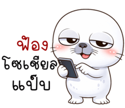 แมวน้ำมึนมึน รูปที่ 8