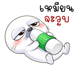 แมวน้ำมึนมึน รูปที่ 12