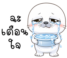 แมวน้ำมึนมึน รูปที่ 26