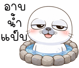 แมวน้ำมึนมึน รูปที่ 29