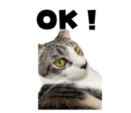 837322307