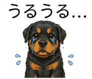 837322469