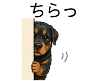 837322480