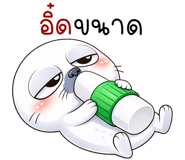 837323236