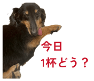 837329964