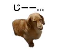 837329974
