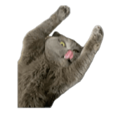 837341569