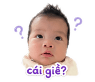 837346100