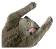 837346729