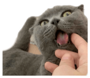 837346730