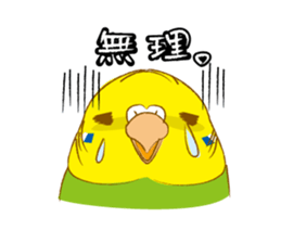 83736