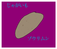 837367083