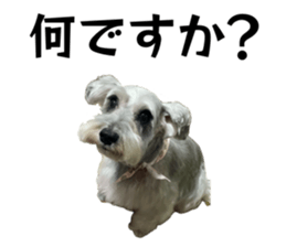 837369303