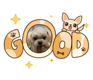 837369505
