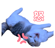 837369582