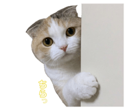 837369589