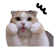 837369590